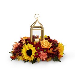 The FTD Giving Thanks Centerpiece From Rogue River Florist, Grant's Pass Flower Delivery